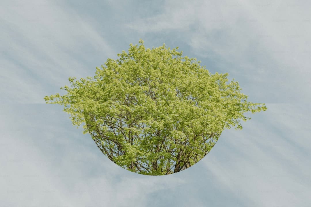 迪丽热巴怎么从流量花瓶逆袭成实力艺人?5年蜕变进程揭秘